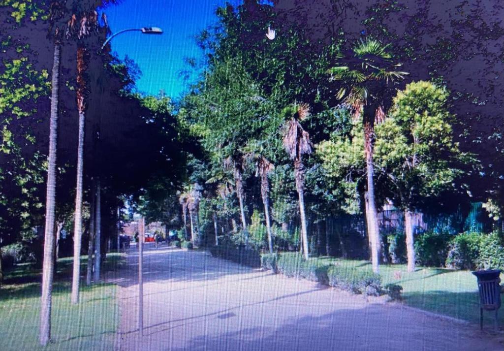 Appartamento Noria 2B Alcalá de Henares Esterno foto